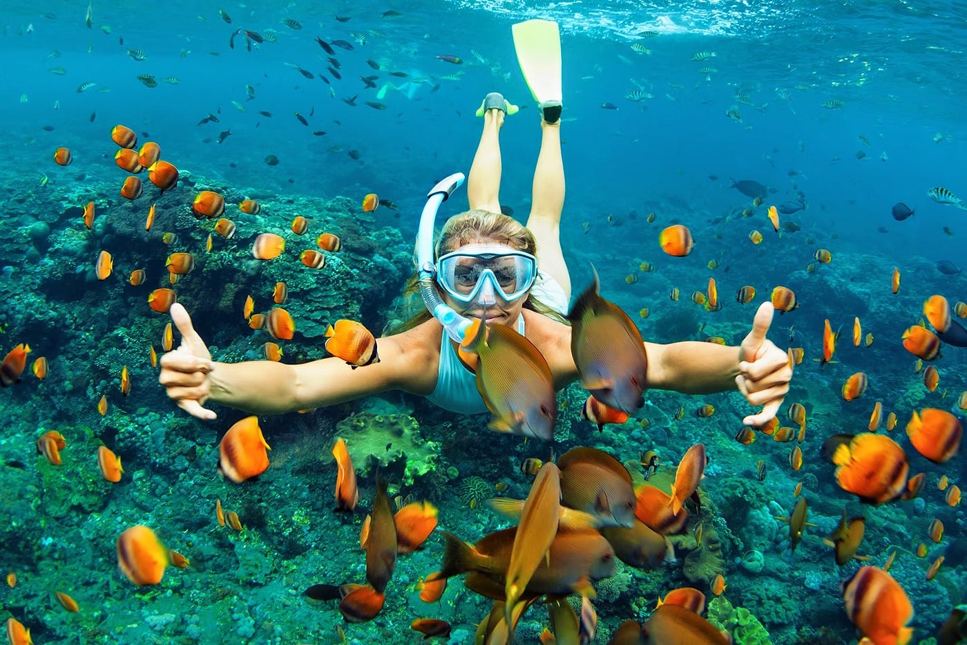 Deep Sea Fishing