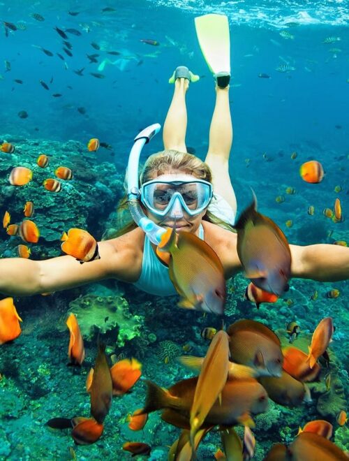 Snorkeling adventure