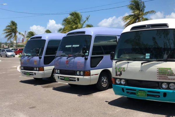 Round Island bus tour