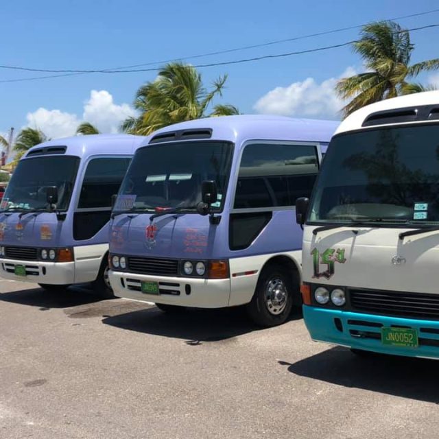 Round Island bus tour