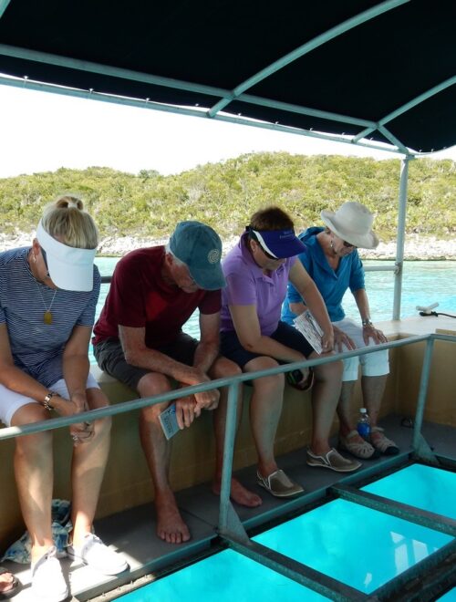 Glass Bottom Boat Tour