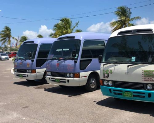 bahamas-bus-drivers